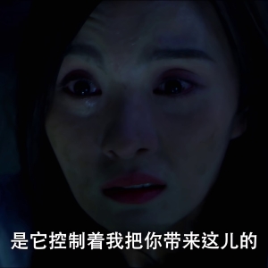 蚁型危机