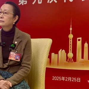 上海文艺界六年来硕果累累 新一届文联主席奚美娟：要托举更多年轻人到闪亮 ...