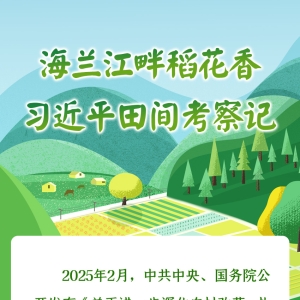 学习·故事丨海兰江畔稻花香 习近平田间考察记