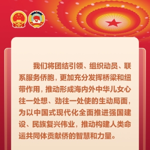 【同心圆·“海”纳百声】关于海外侨胞，代表委员这样说→ ...